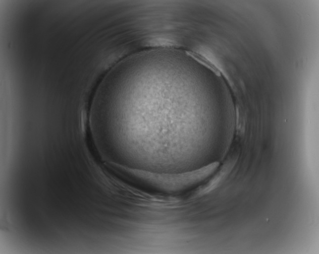 X0000088850109200706151724