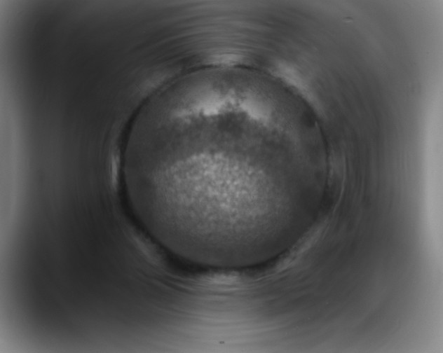 X0000088850110200706151724