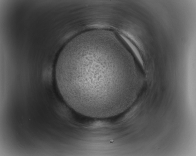 X0000088850111200706151724