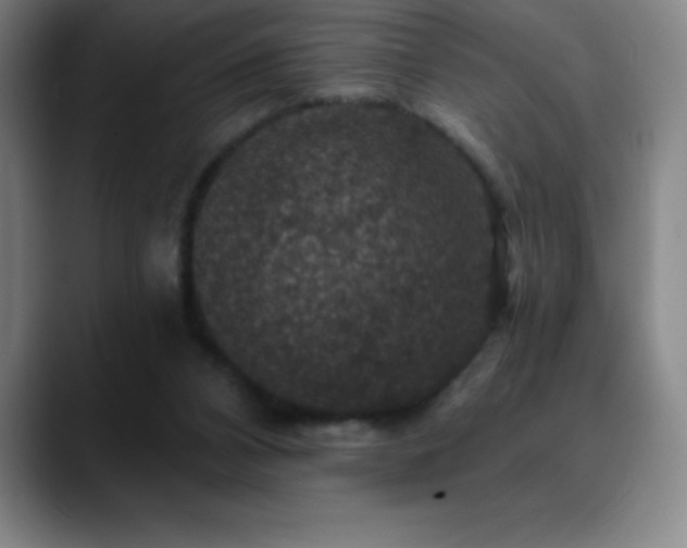 X0000088850112200706151724