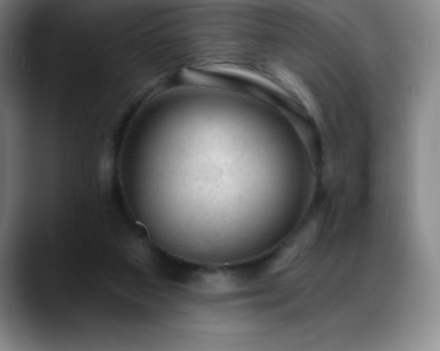 X0000088850113200706151724