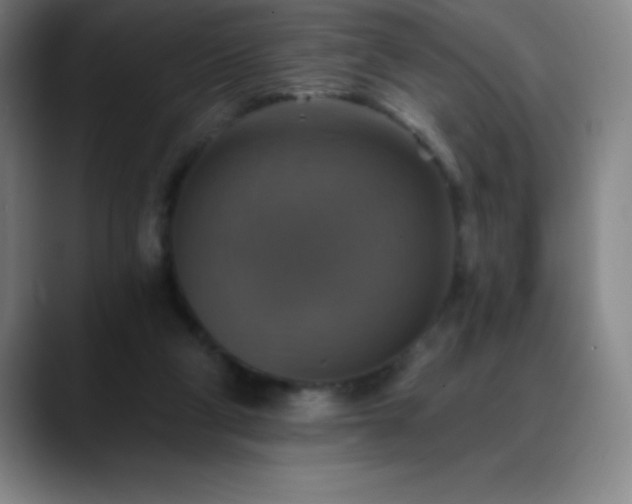 X0000088850114200706151724