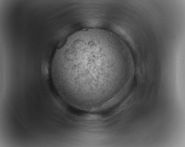 X0000088850115200706151724