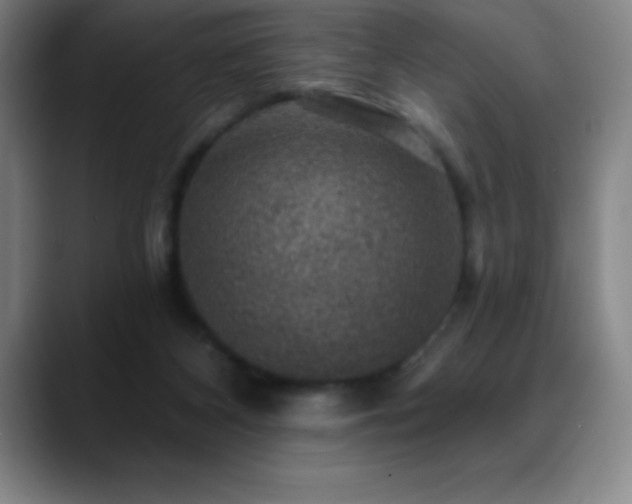 X0000088850116200706151724