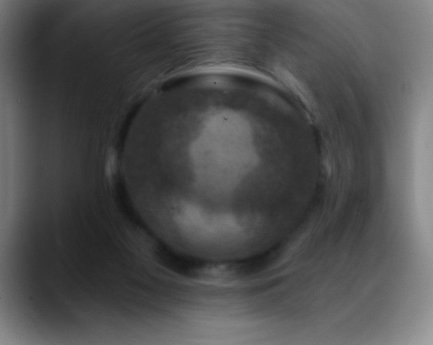 X0000088850117200706151724