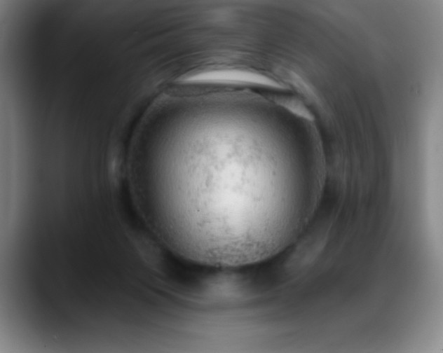 X0000088850119200706151724