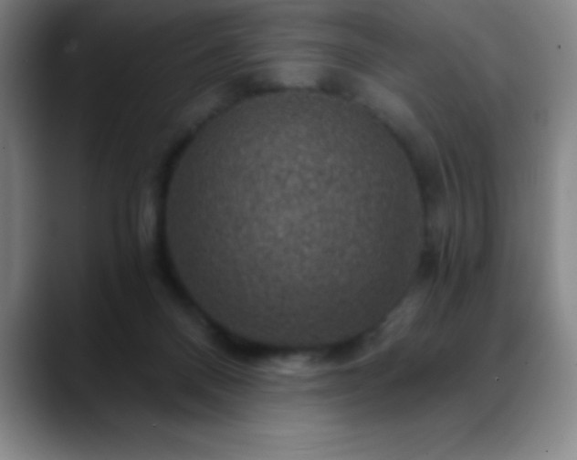 X0000088850120200706151724