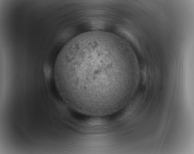 X0000088850123200706151724