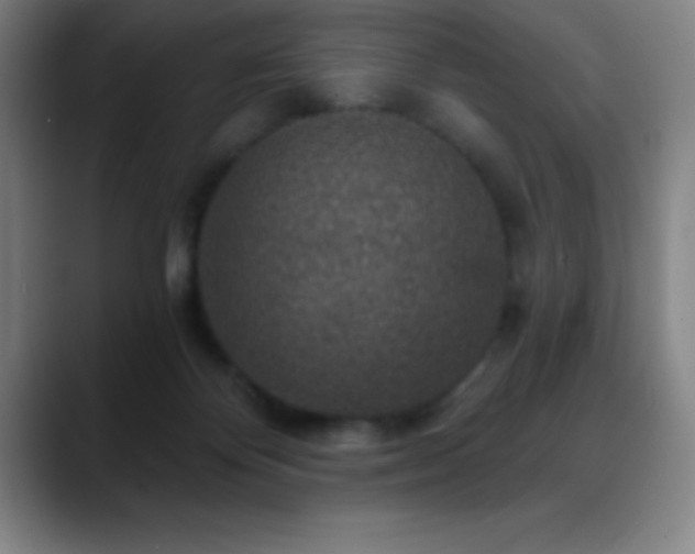 X0000088850124200706151724