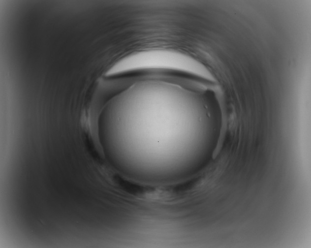 X0000088850125200706151724