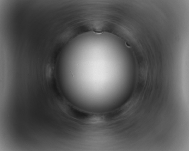 X0000088850126200706151724