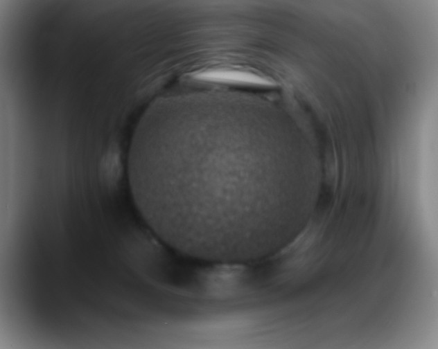 X0000088850128200706151724