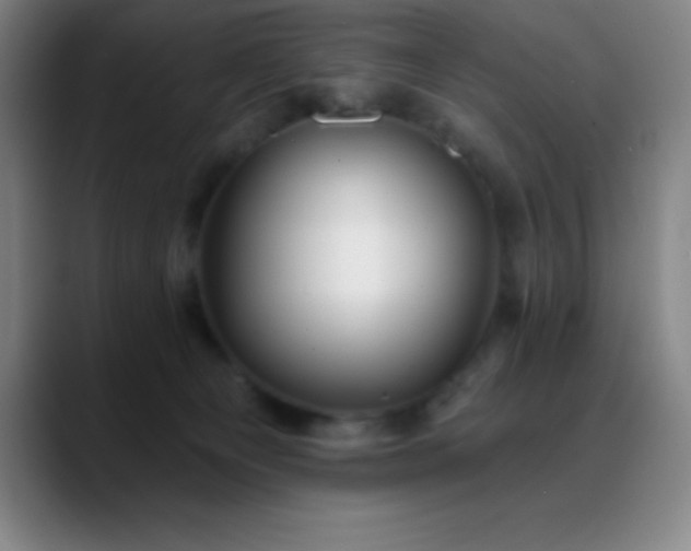 X0000088850129200706151724