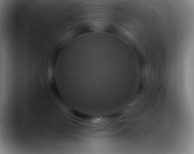 X0000088850130200706151724