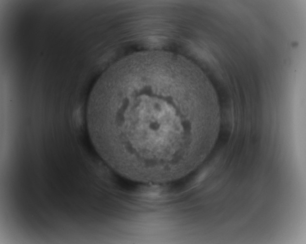 X0000088850131200706151724