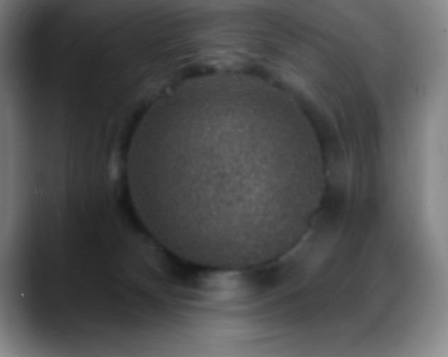 X0000088850132200706151724