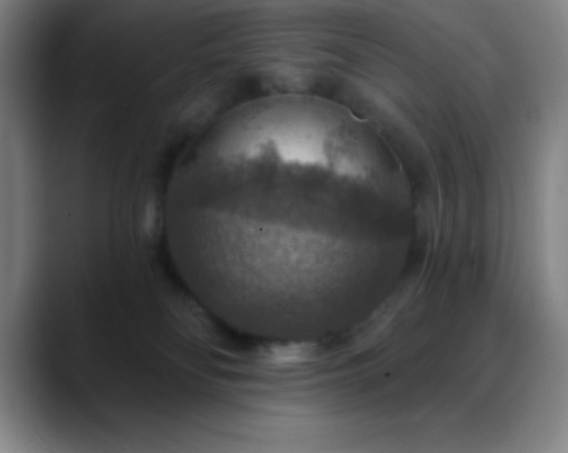 X0000088850134200706151724