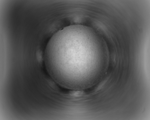 X0000088850135200706151724