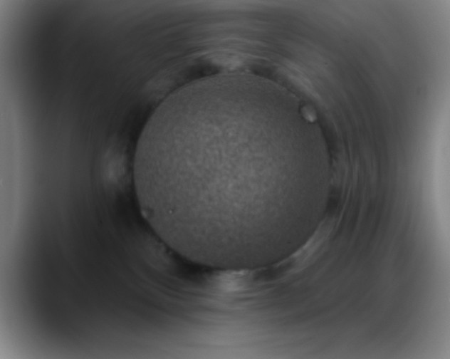 X0000088850136200706151724