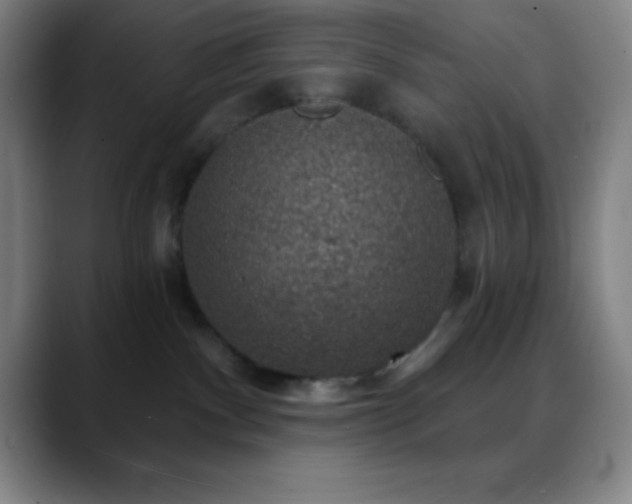 X0000088850140200706151724