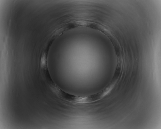 X0000088850143200706151724