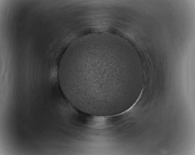 X0000088850144200706151724