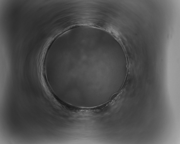 X0000088850145200706151723