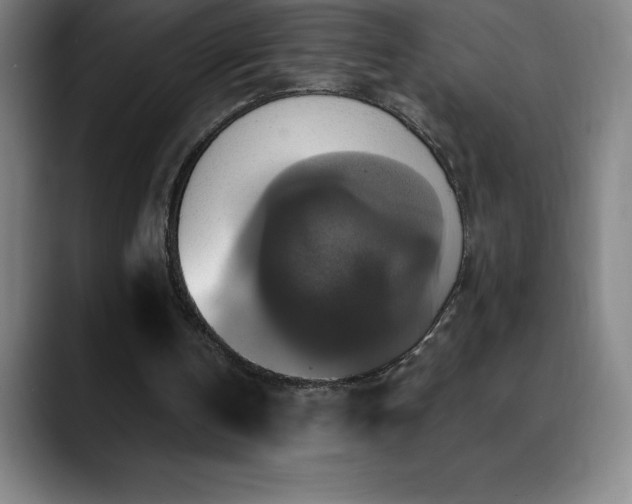 X0000088850146200706151723