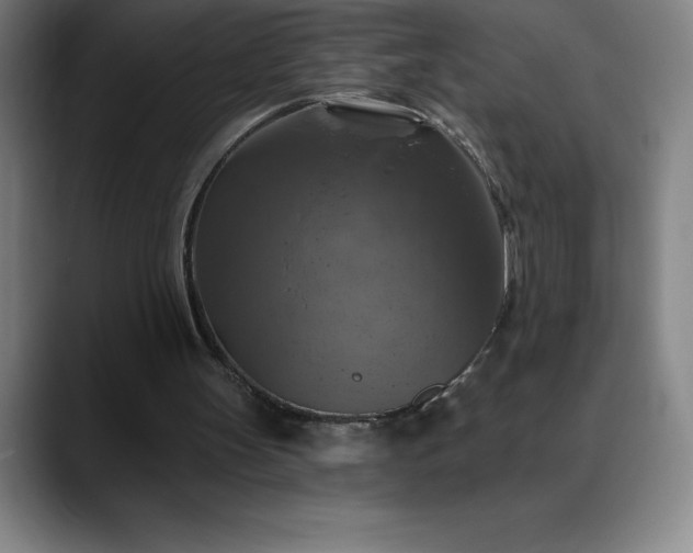 X0000088850147200706151723