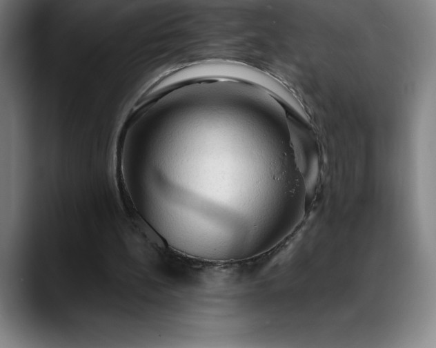 X0000088850148200706151723