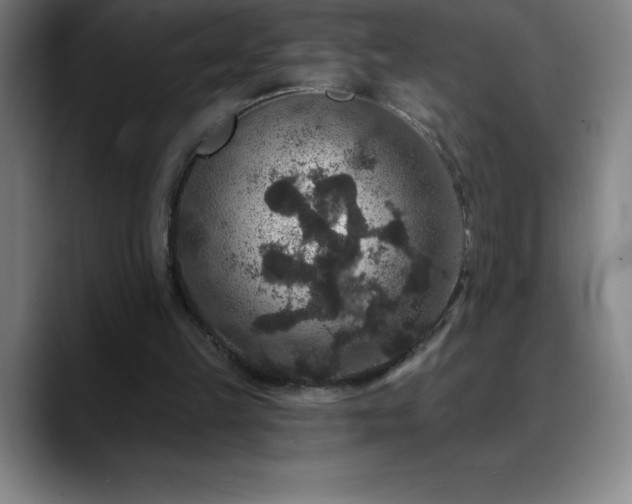 X0000088850149200706151723