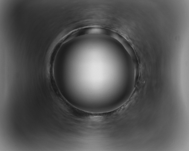 X0000088850150200706151723