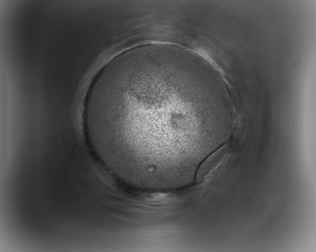 X0000088850151200706151723