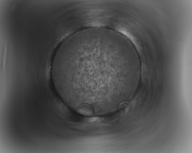 X0000088850153200706151723