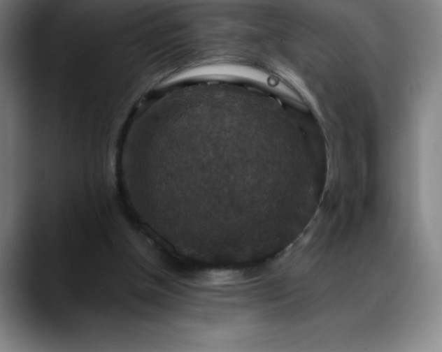 X0000088850154200706151723