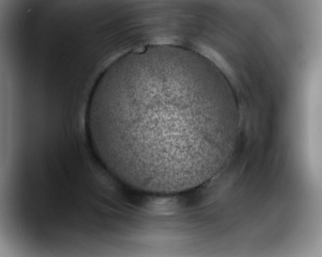 X0000088850155200706151723