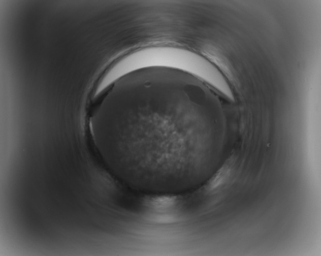 X0000088850156200706151723