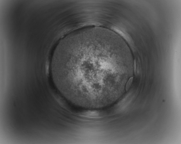 X0000088850157200706151723