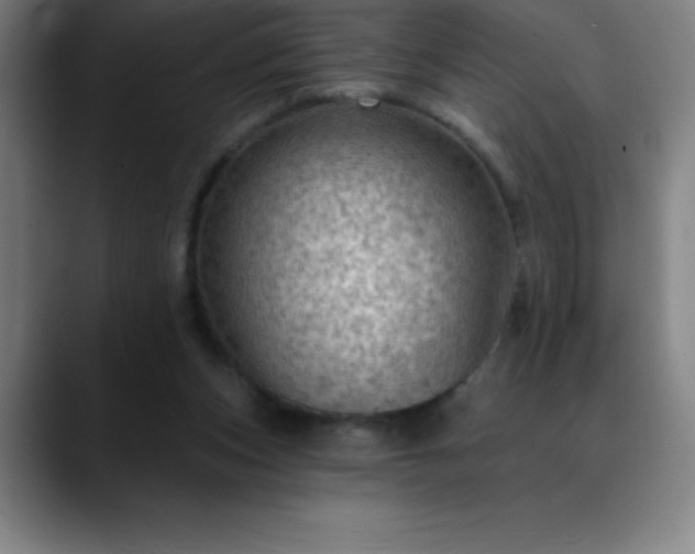 X0000088850159200706151723