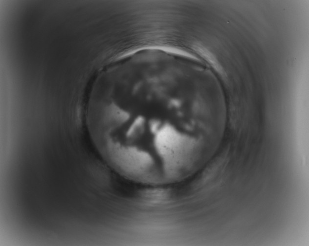 X0000088850161200706151723