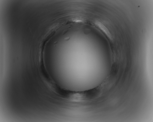 X0000088850163200706151723