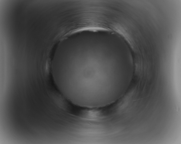 X0000088850165200706151723