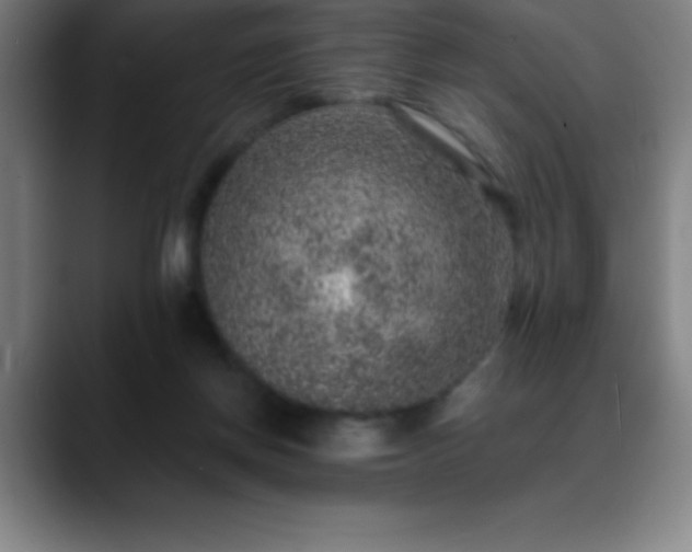 X0000088850166200706151723