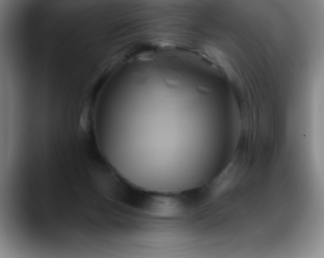 X0000088850167200706151724