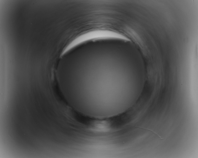 X0000088850169200706151724