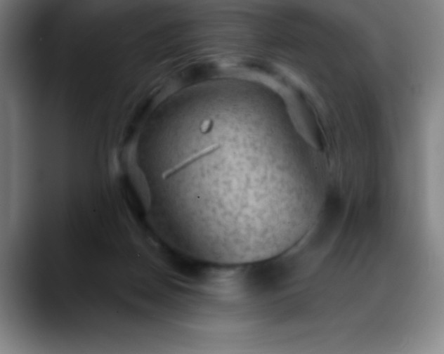 X0000088850170200706151724