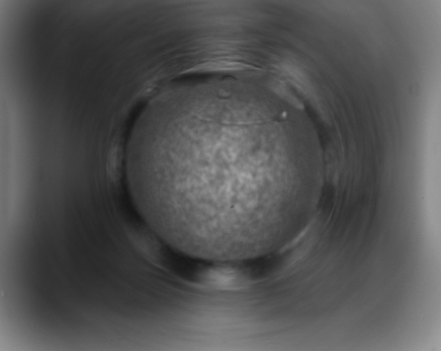 X0000088850171200706151724