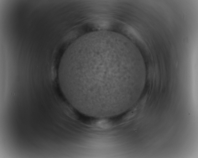 X0000088850173200706151724