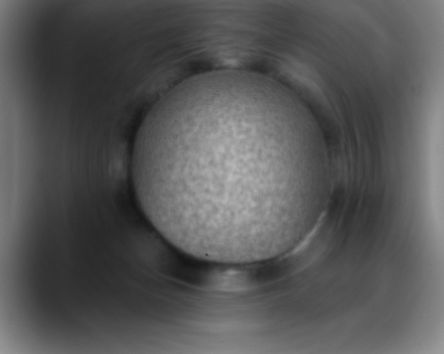 X0000088850174200706151724