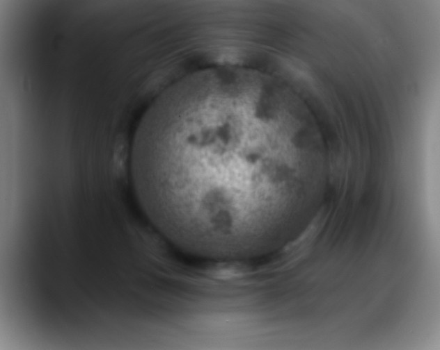 X0000088850175200706151724